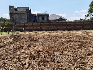50by100 Plot for Sale in Gikambura Kikuyu Kiambu.