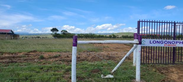 Great View for 620,000, Longonot View Phase 4 - thumbnail 5