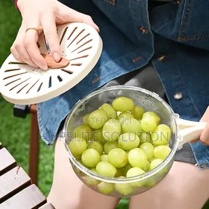 Food Storage Drainer