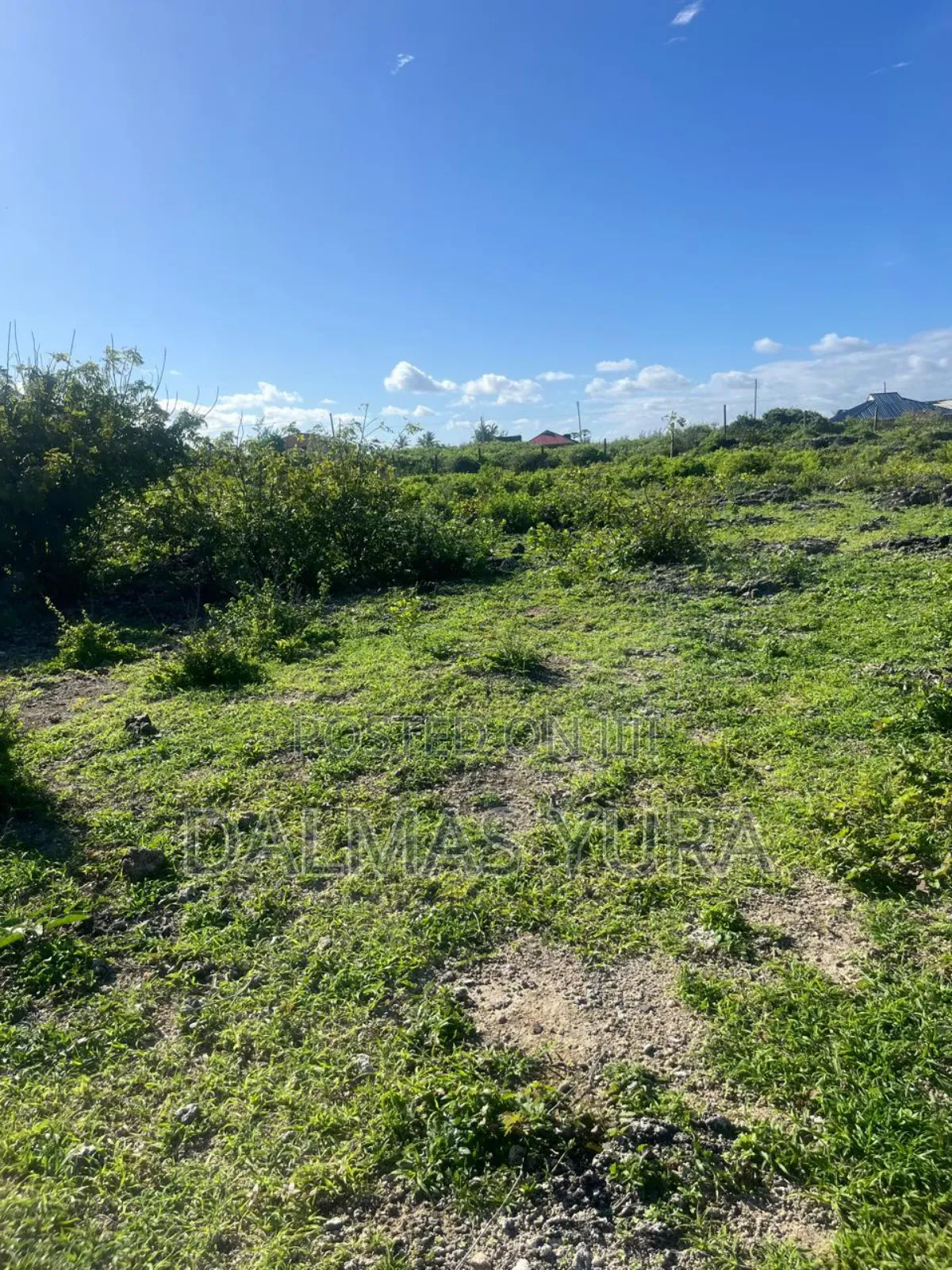An Acre Piece of Land in Watamu