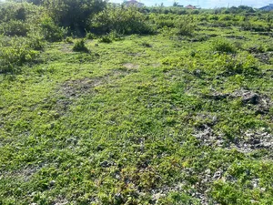 An Acre Piece of Land in Watamu