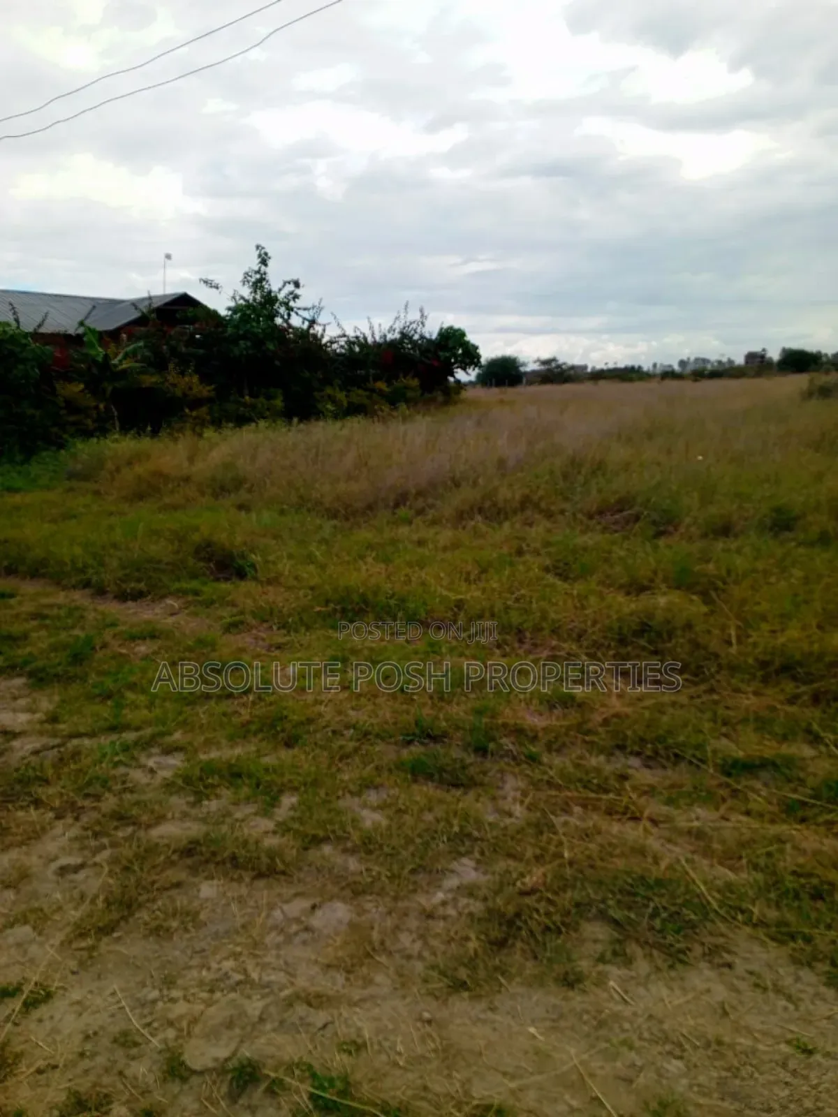 Prime 1/8 Katani Plots For Sale