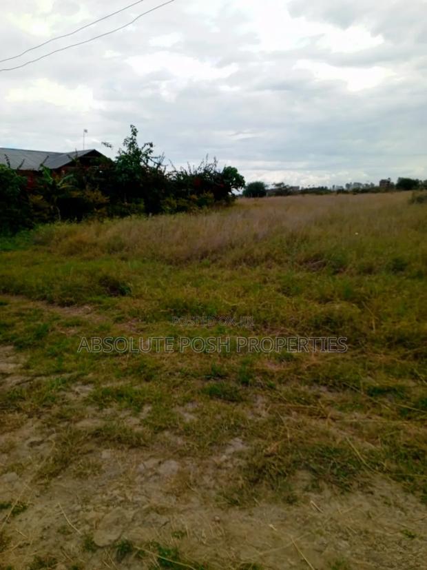 Prime 1/8 Katani Plots For Sale - thumbnail 4