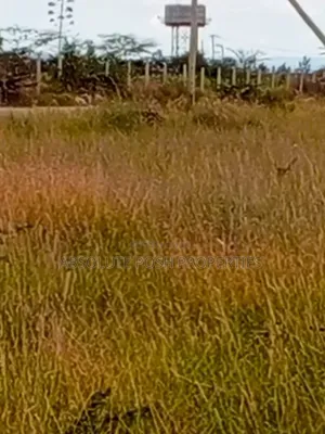 Prime 1/8 Katani Plots For Sale