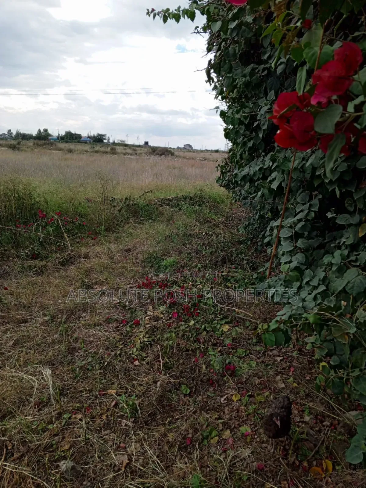Prime 1/8 Katani Plots For Sale
