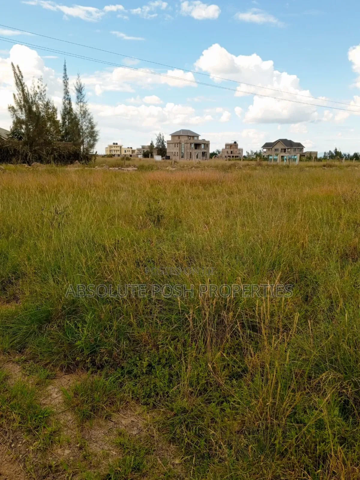 Prime 1/8 Katani Plots For Sale
