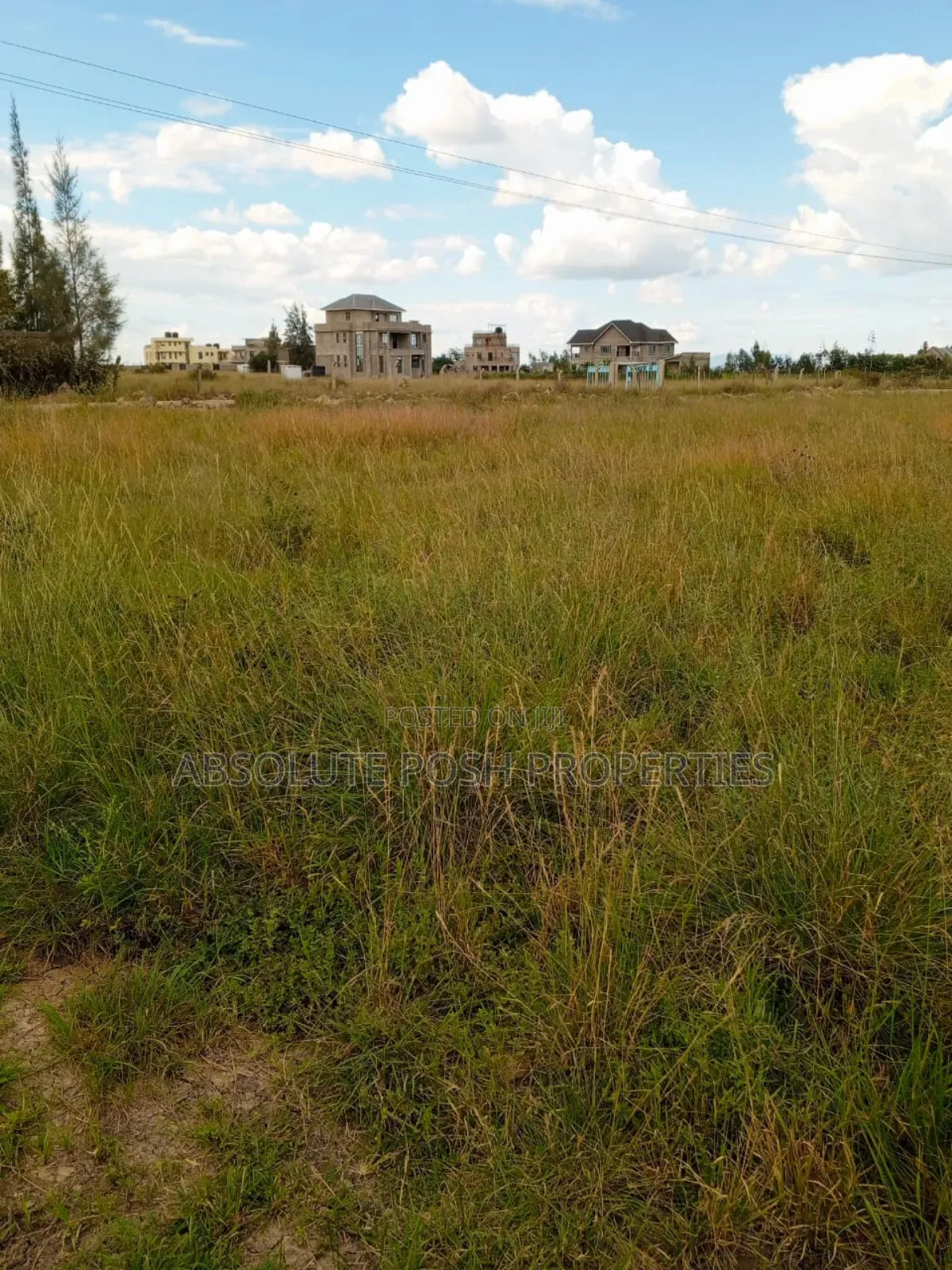 Prime 1/8 Katani Plots For Sale