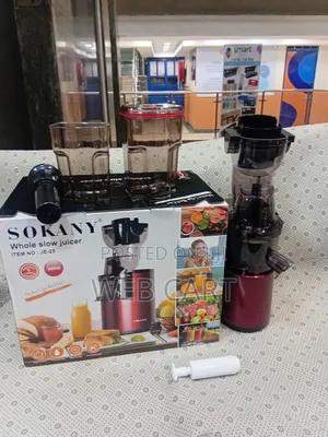 300w Sokany Slow Juicer