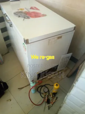 Fridge Sales