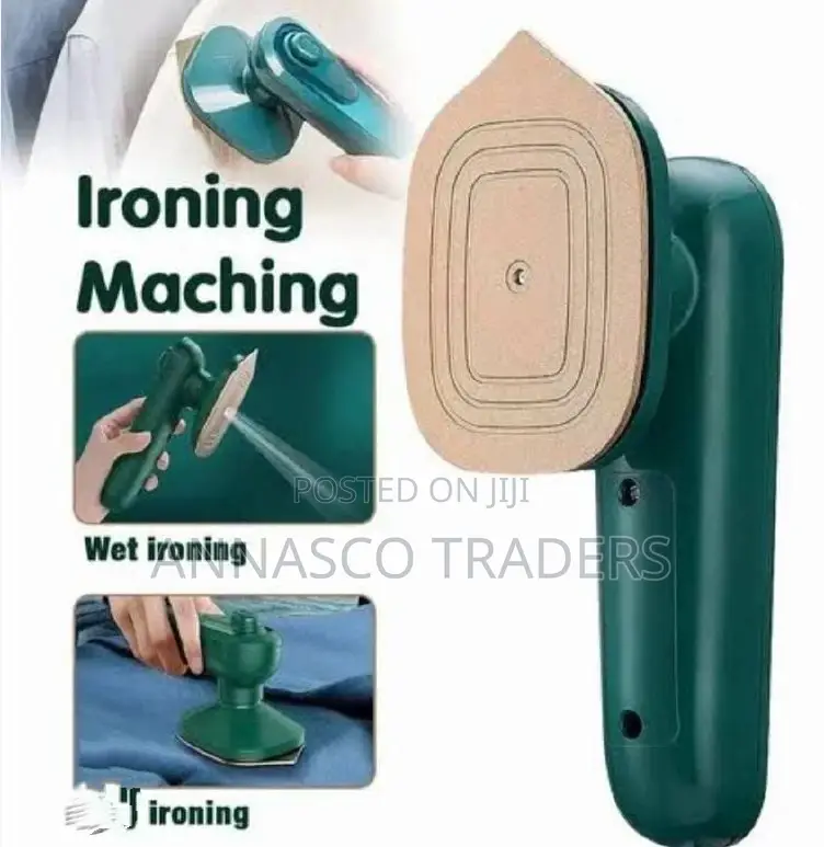 Mini Dry/Steam Garment Steamer Ironbox With Sprayer