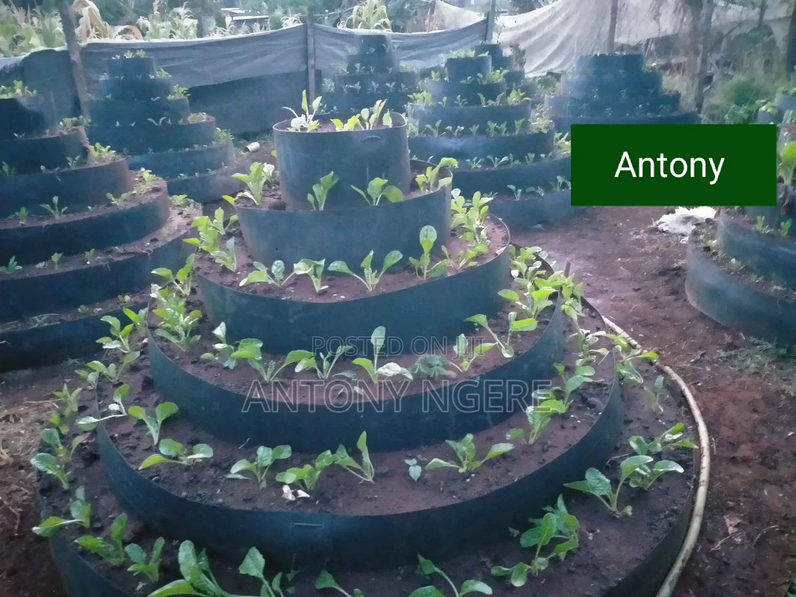 Multi Storey Garden