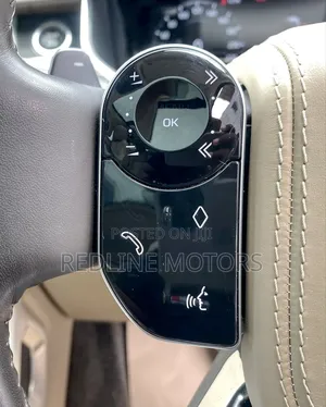 Land Rover Range Rover Vogue 2019 Brown
