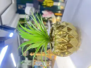 Green Succulent for Home and Office Decor