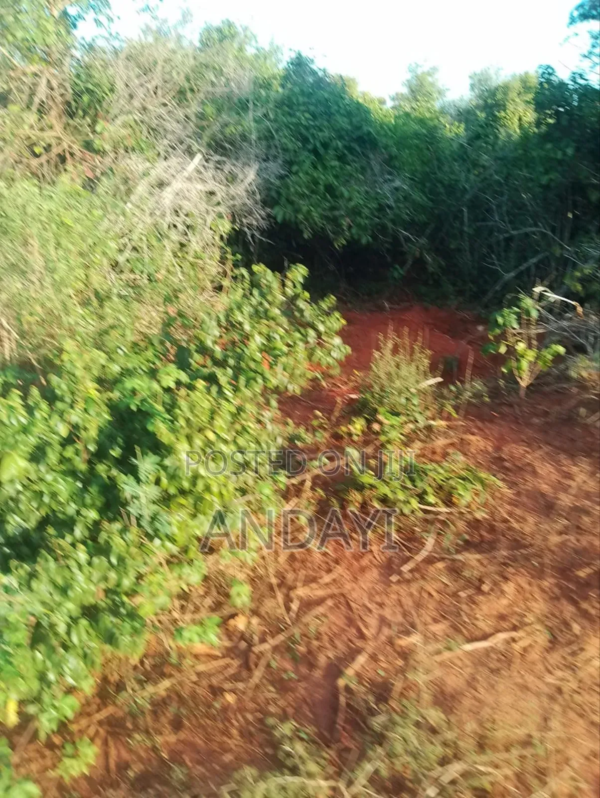 30 Acres Farmland For Sale