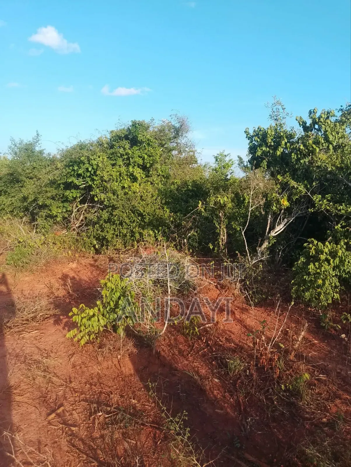 30 Acres Farmland For Sale
