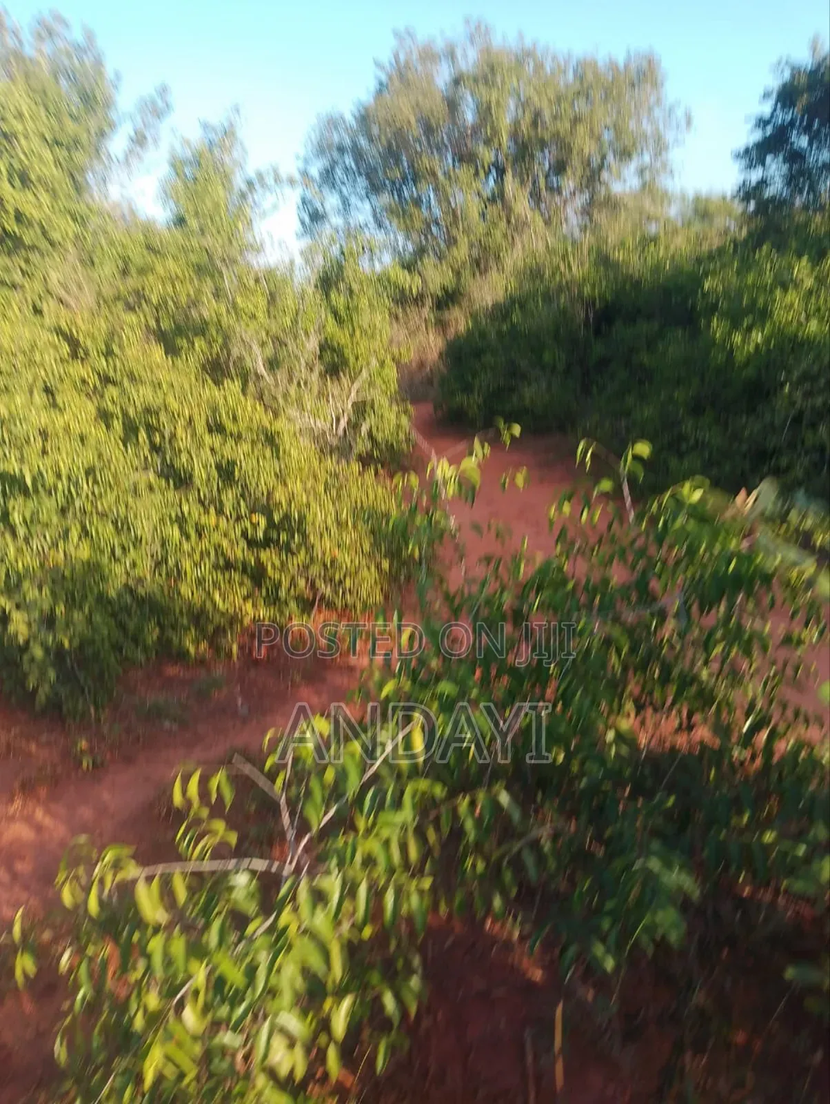 30 Acres Farmland For Sale