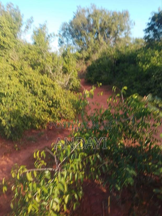 30 Acres Farmland For Sale - thumbnail 6
