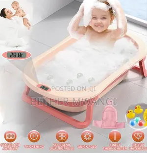 2-in 1 Foldable Basin+ Bath Toys in Kenya