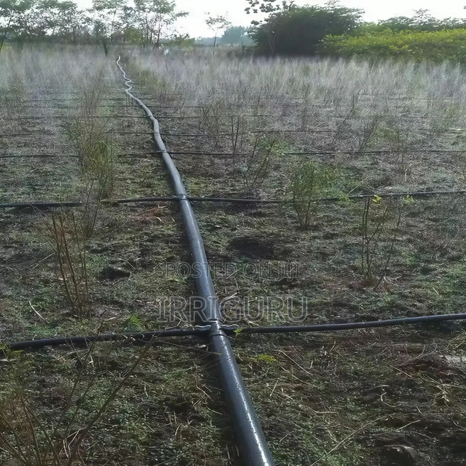 Rainhose N45 Farmland Horticulture Drizzle Spray Pipe