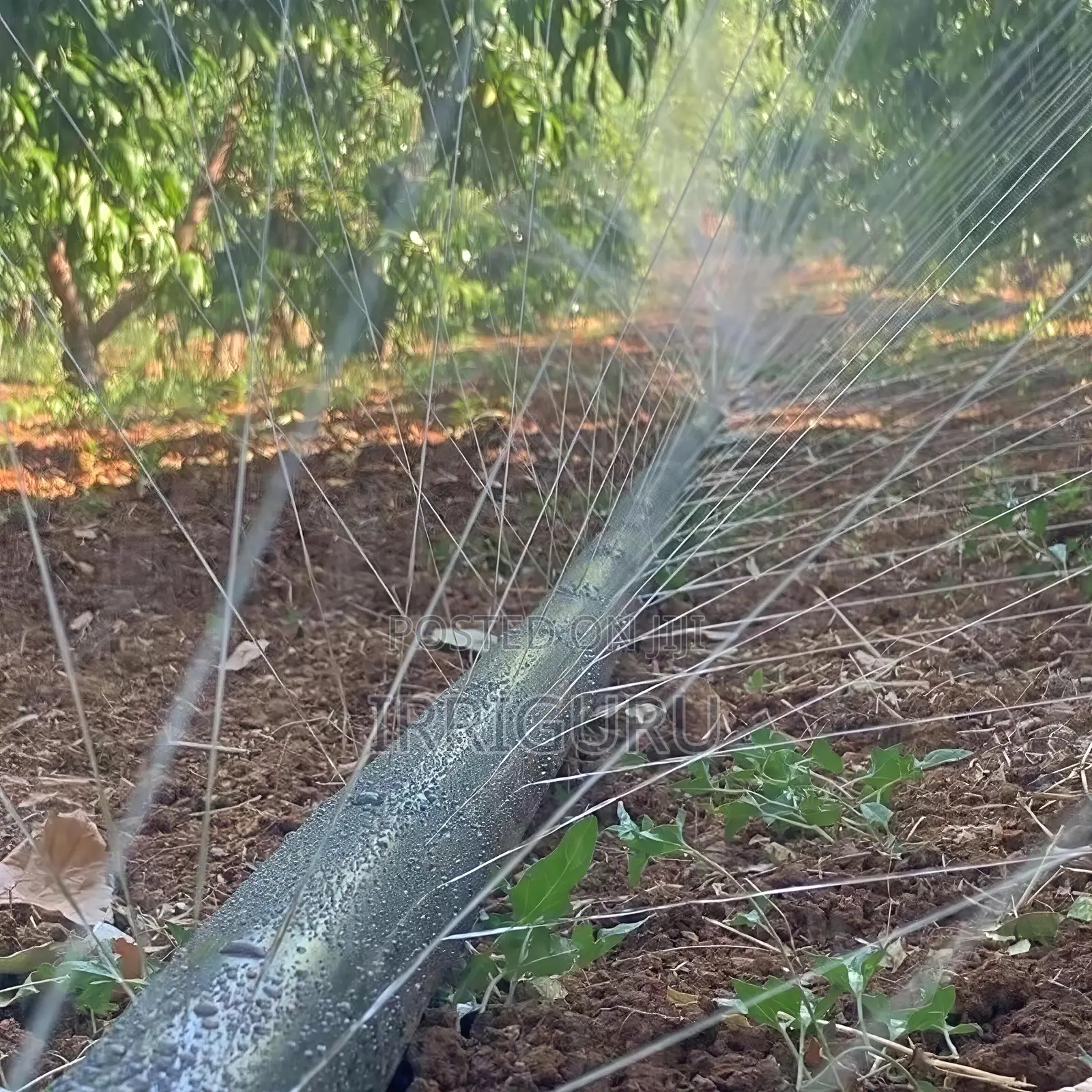 Rainhose N45 Farmland Horticulture Drizzle Spray Pipe