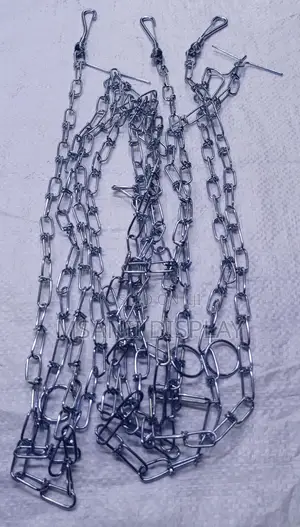 Stainless Chain for Display.