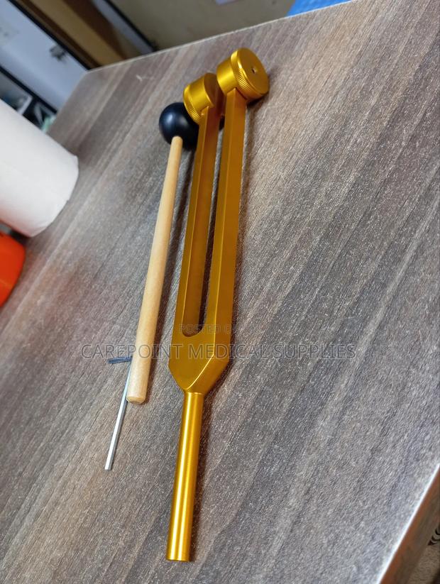 Tuning Fork 256hz.