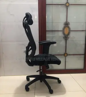 Office Chair:Modern Orthopedic Mesh Chair for Back Support