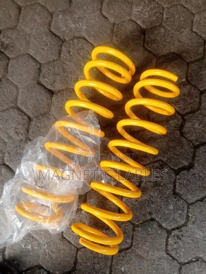Land Crluiser 79 Series Front Heavy Duty Coil Springs