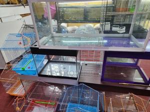 Fish Aquarium - thumbnail 2