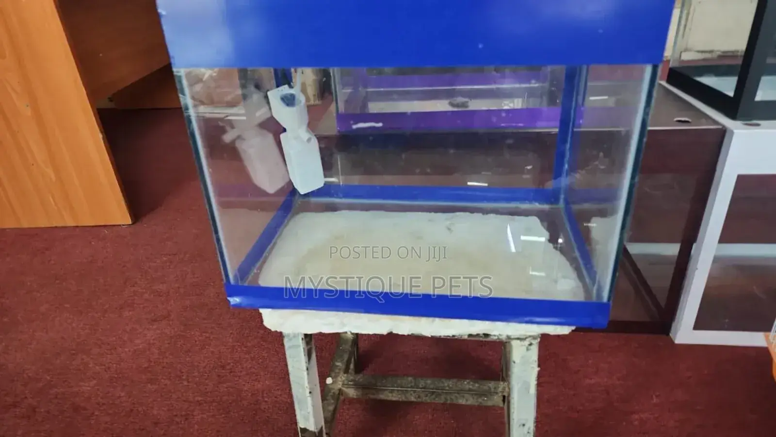 Fish Aquarium