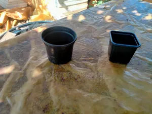 Flower Plastic Pot