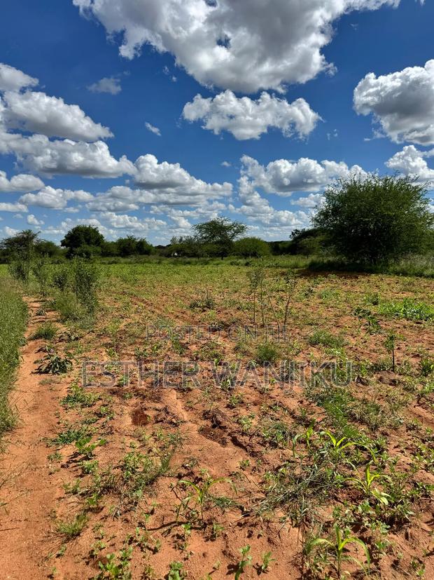 Matuu Plots - thumbnail 4