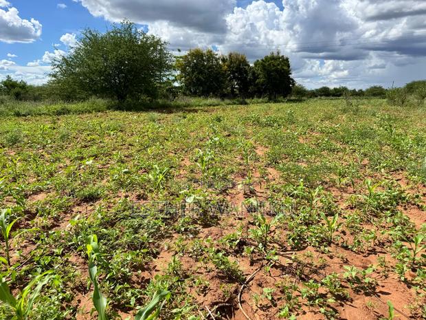 Matuu Plots - thumbnail 10