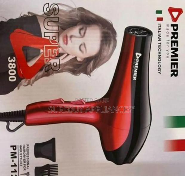 Premier Blow Dry Hair Dryer / Hair Straightener