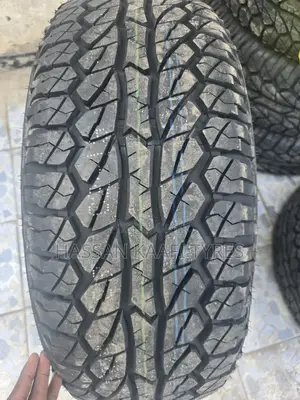 265/65r17 Comforser 1100
