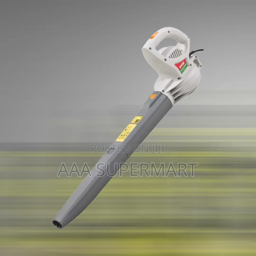 Rb-2000 Blower 2000w 300km/H