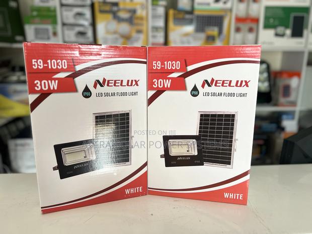 Neelux 30w Solar Floodlight