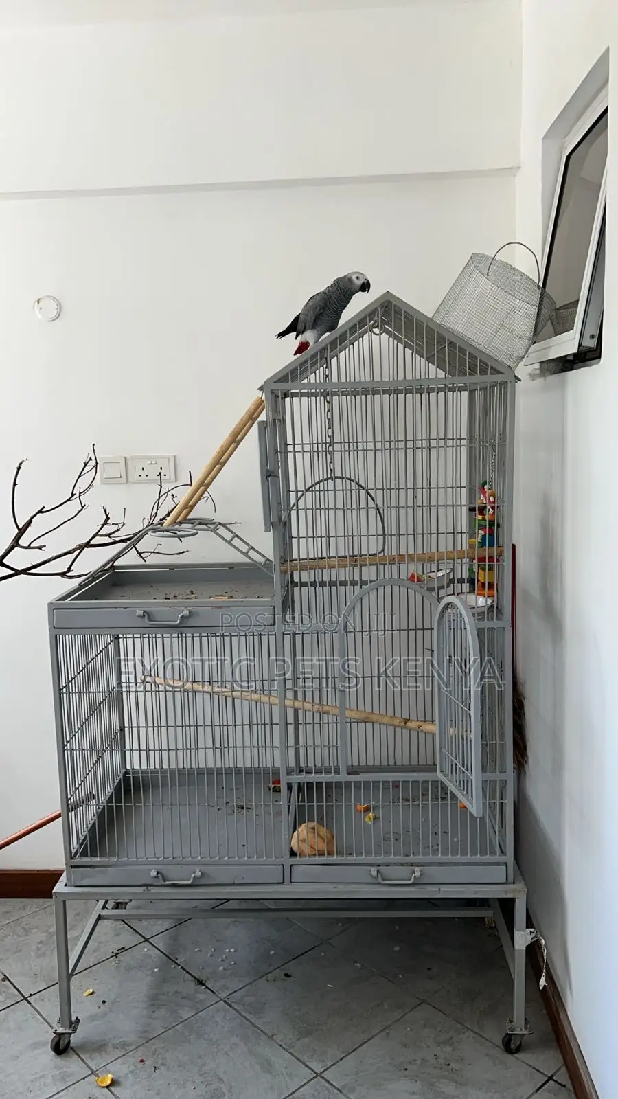 Imported Parrot Cage High Quality