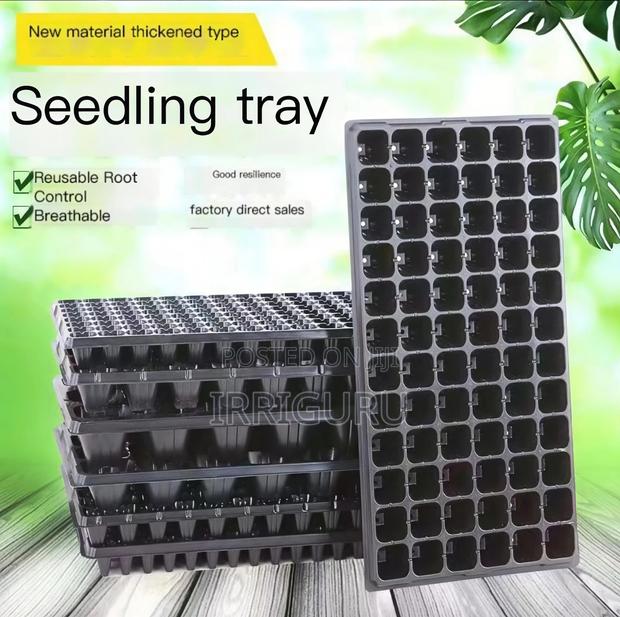 Nursery Traytransplanting Trayplant Planting Trayrecycling
