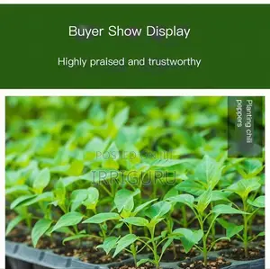 Nursery Traytransplanting Trayplant Planting Trayrecycling