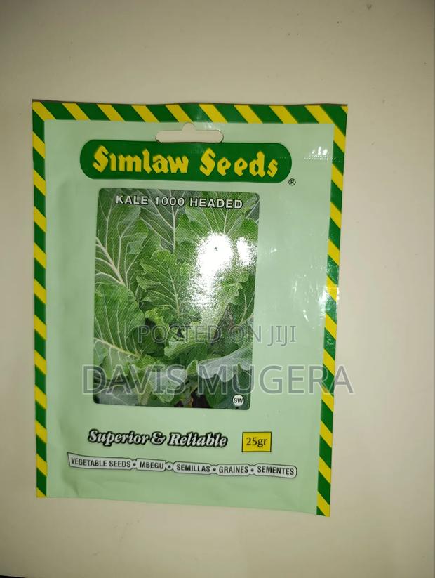Simlaw Seeds Kale 1000 Headed - 25gm - main view