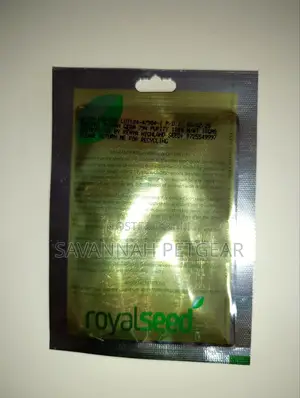 Royal Seed Bunching Onion Evergreen Seeds - 10gm