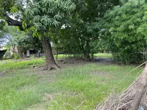 Prime Plots for Sale JCC Road Bamburi
