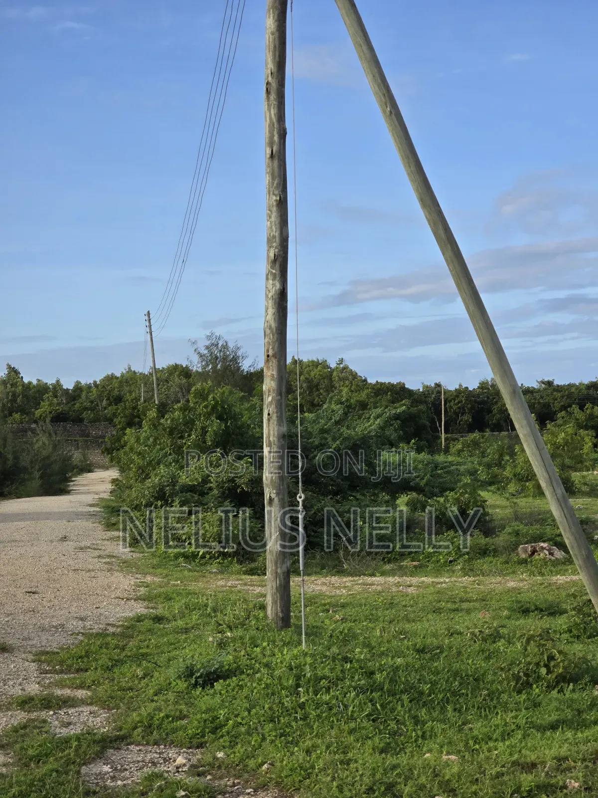 2nd Row Beach Plots 1/4 Acre Bofa Kilifi