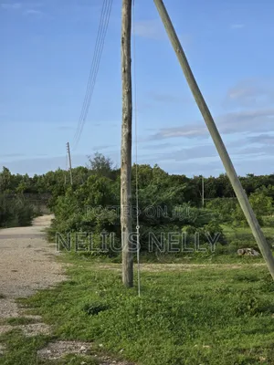 2nd Row Beach Plots 1/4 Acre Bofa Kilifi