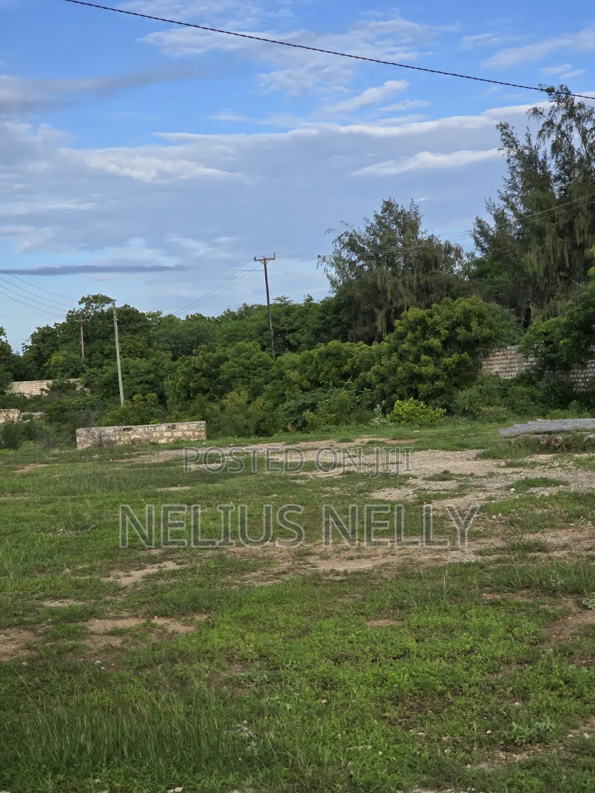 2nd Row Beach Plots 1/4 Acre Bofa Kilifi