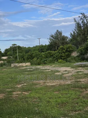 2nd Row Beach Plots 1/4 Acre Bofa Kilifi