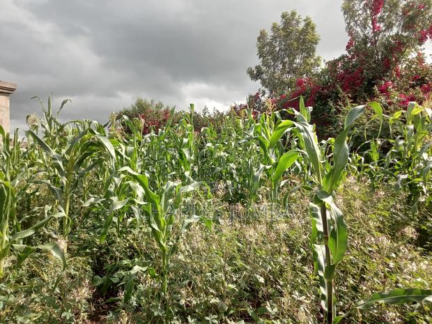 Muigai Plot for 2.7m - main view