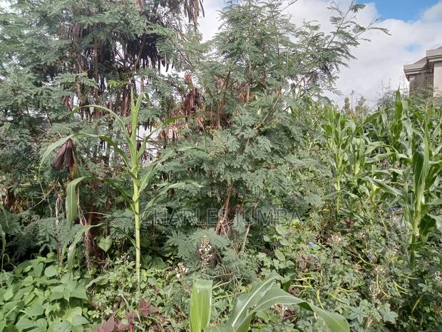 Muigai Plot for 2.7m - thumbnail 2