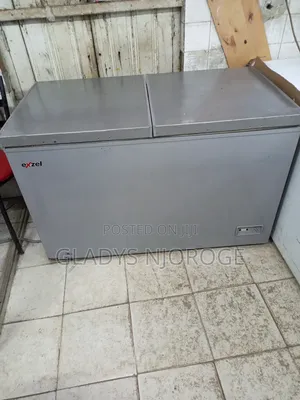 Premier Exzel Freezer ( 500l Silver)